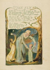 「Songs of Experience」の1794年版「The Fly」プレート47（水彩でカラー印刷されたレリーフエッチング） 作： William Blake